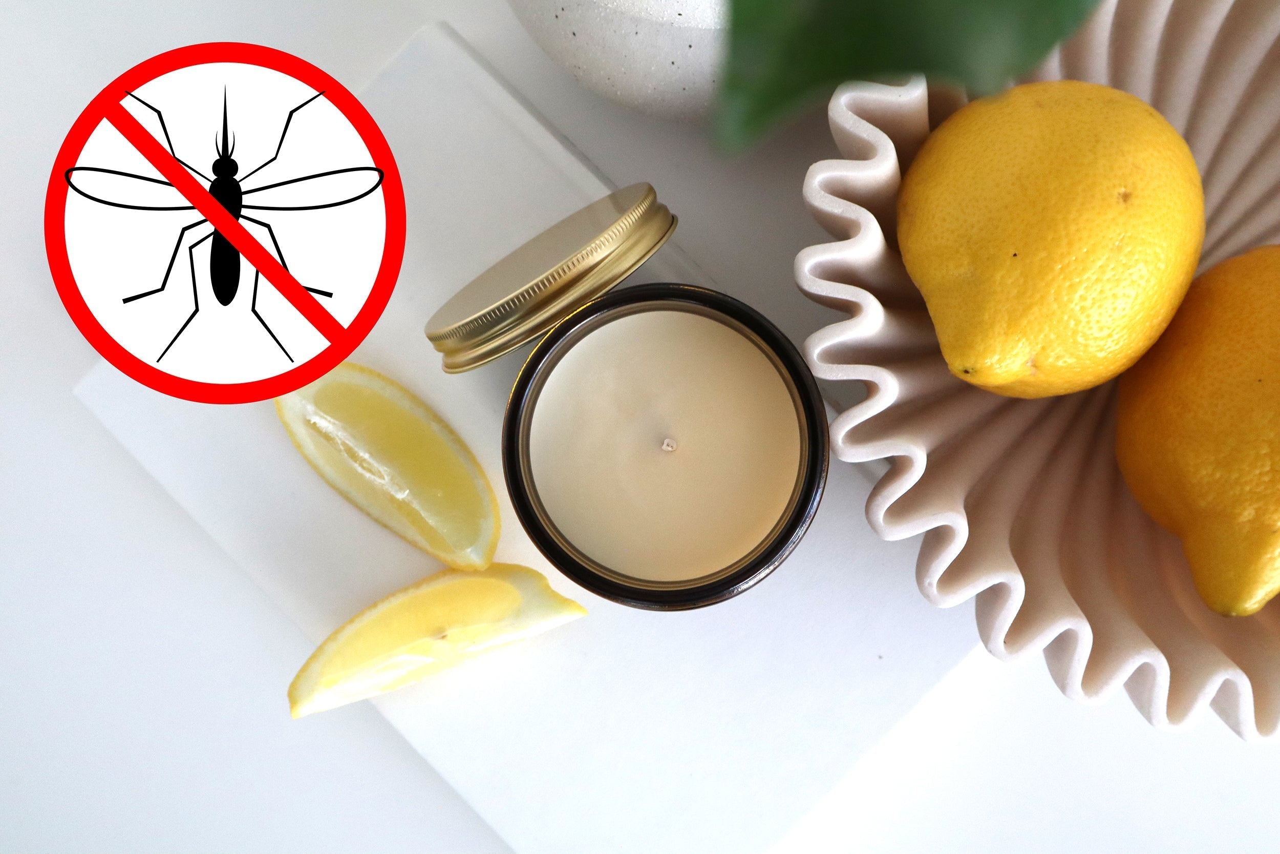 Anti-Mücken-Düfte die besser riechen als Citronella